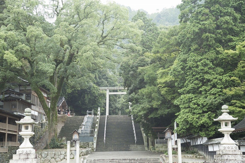 ⛩️ 다도 대사(다도타이샤) 이미지 1